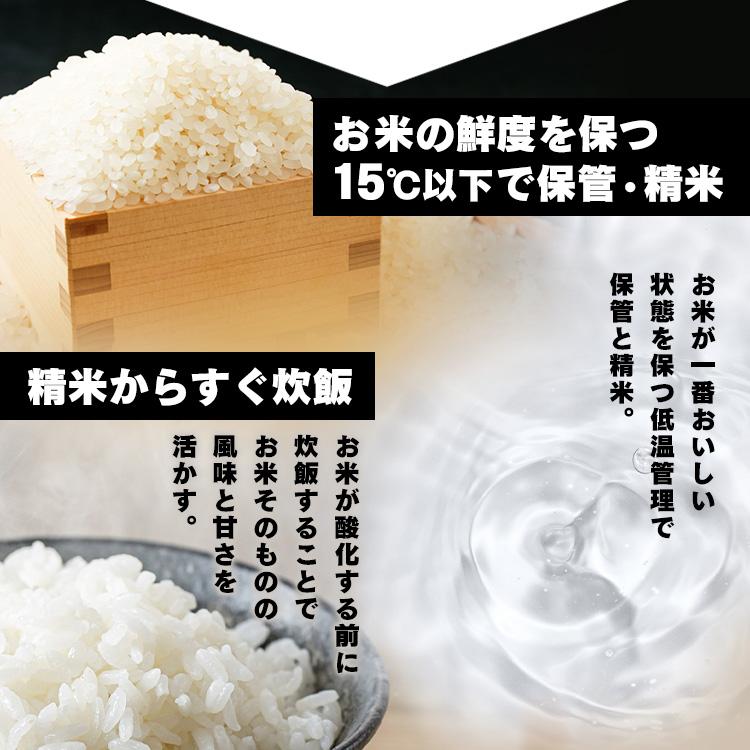 アイリス 低温製法米 おいしいごはん 180g×3食入